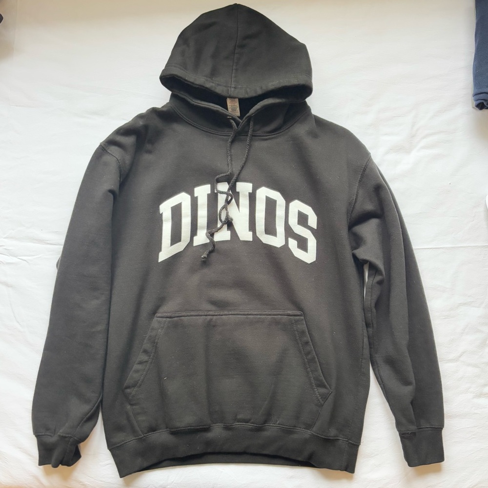 Last Dinosaurs DINOS Hoodie 2023 Tour like new size M
